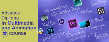 Advance Diploma in Multimedia &  Animation
